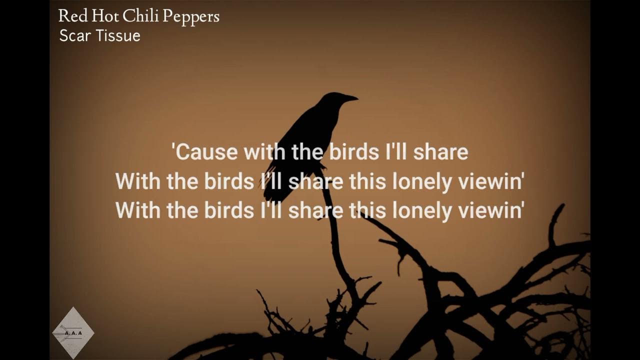 Red Hot Chili Peppers Scar Tissue (Lyrics) YouTube