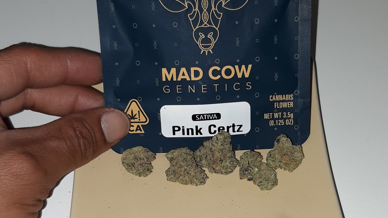 strain review mad cow genetics pink certz