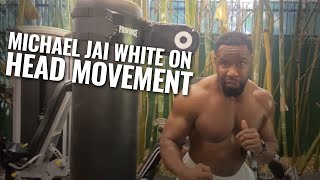 Head Movement Exercises for Martial Artists - Michael Jai White