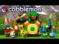 Serveur Cobblemon