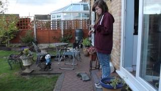 Simon Says - Short Film