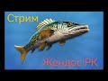 Реальная рыбалка 2 тихий стрим. Выполняем заказы