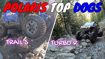 POLARIS TURBO R and POLARIS TRAIL S. Top Dogs Compared!