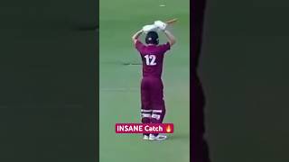 An INSANE one handed diving catch during the 2024 Bunbury Festival 🔥 #cricket