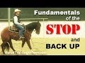 How to Train a Horse to Stop & Back Up - Basics of sliding stop for reining or cutting