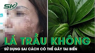 Dùng Lá Trầu Không Sai Cách Có Thể Gây Tai Biến | SKĐS