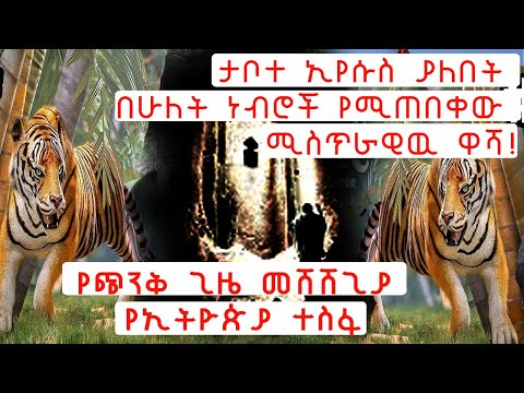 ቪዲዮ: የዓለም የመሳም ቀን እንዴት እንደመጣ