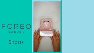 The Irresistible Bear Mini.