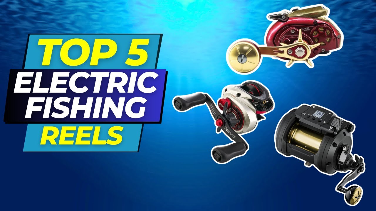 case 10.2 royal bee electric fishing reel Top 5 Electric Fishing Reels in 2024
