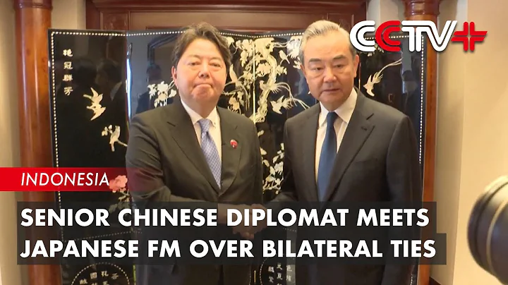 Senior Chinese Diplomat Meets Japanese FM over Bilateral Ties - DayDayNews