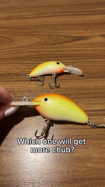 How big lures are you using for chub? 🤔#fishing #fishinglure #chub #homemadelure #lure #chubfishing