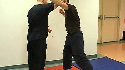 Baguazhang / Pakuachang Jiang Rong Qiao - Application - Hide FLower Under Leaf To Swallow Fans Tail