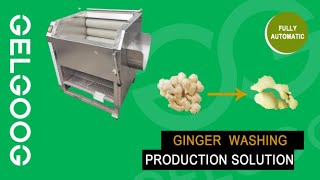Automatic Ginger Brush Washing And Peeling Machine