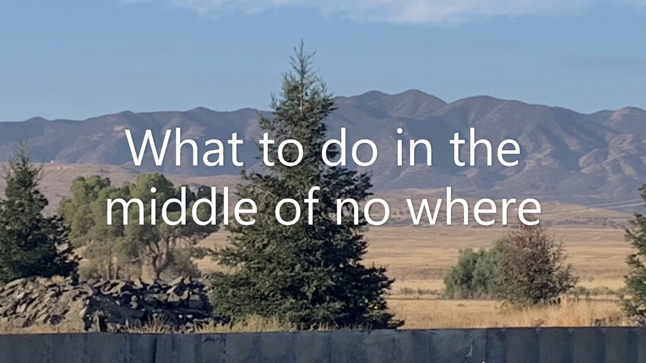 Cuyama Buckhorn, New Cuyama, Ca.