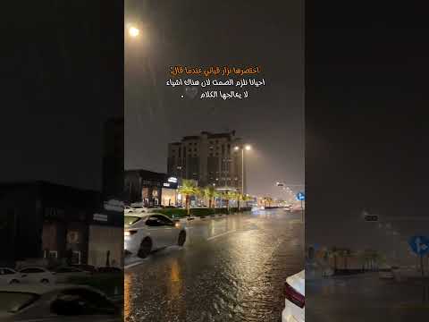 اختصرها وقال نزار قباني احيانا نلزم الصمت لان هناك أشياء لا يعالجها الكلام