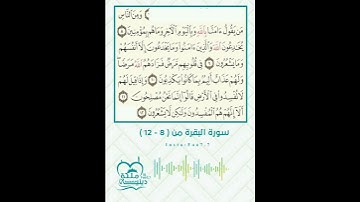سورة البقرة من ايه (8 - 12) ارح سمعك ❤️❤️