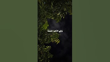 ﴿ومنهم من يقول ربنا آتنا في الدنيا حسنة وفي الآخرة حسنة﴾ | سورة البقرة | الشيخ ماهر المعيقلي