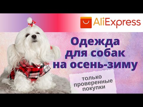 ALIEXPRESS: качественная одежда для собак  на осень/зиму.