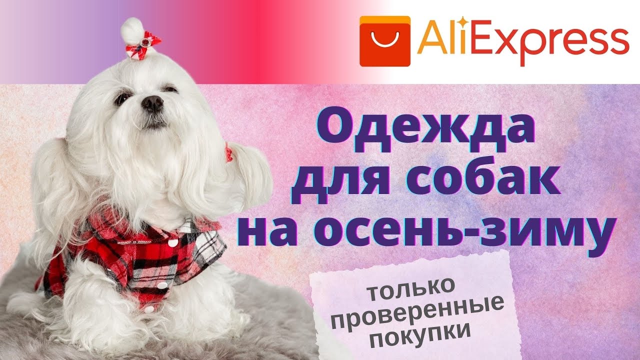 ALIEXPRESS: качественная одежда для собак на осень/зиму.