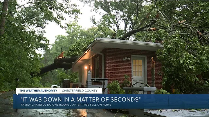 Tree crashes through Chesterfield family's home