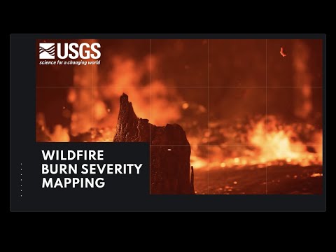 Wildfire Burn Severity