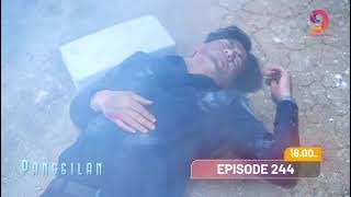 Panggilan - Episode 244 | Gita Sinaga