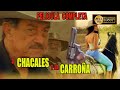 🎬 &quot;3 Chacales y la Carroña&quot; MARIO ALMADA - película completa en español | MEX CINEMA 🎥