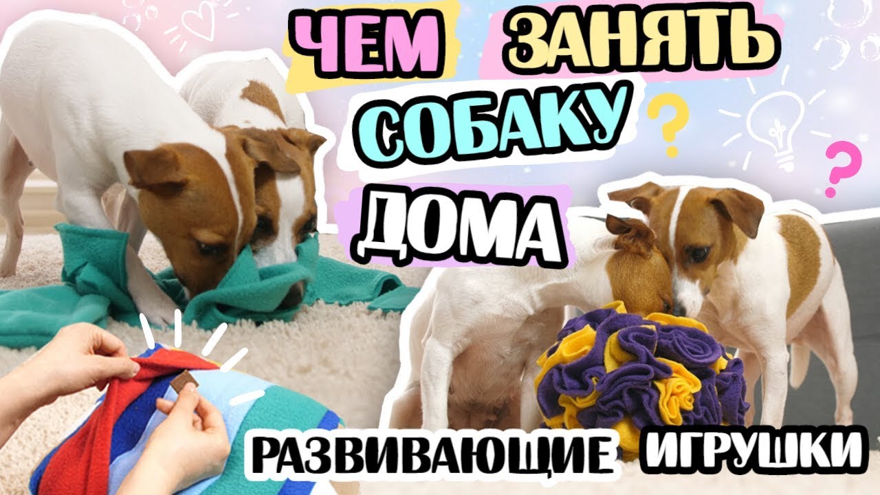 Вязаная мягкая косточка для собаки