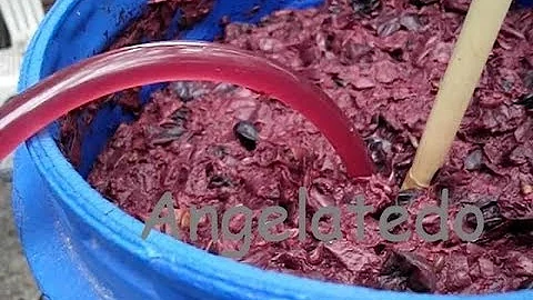 O que é o mosto fermentado?