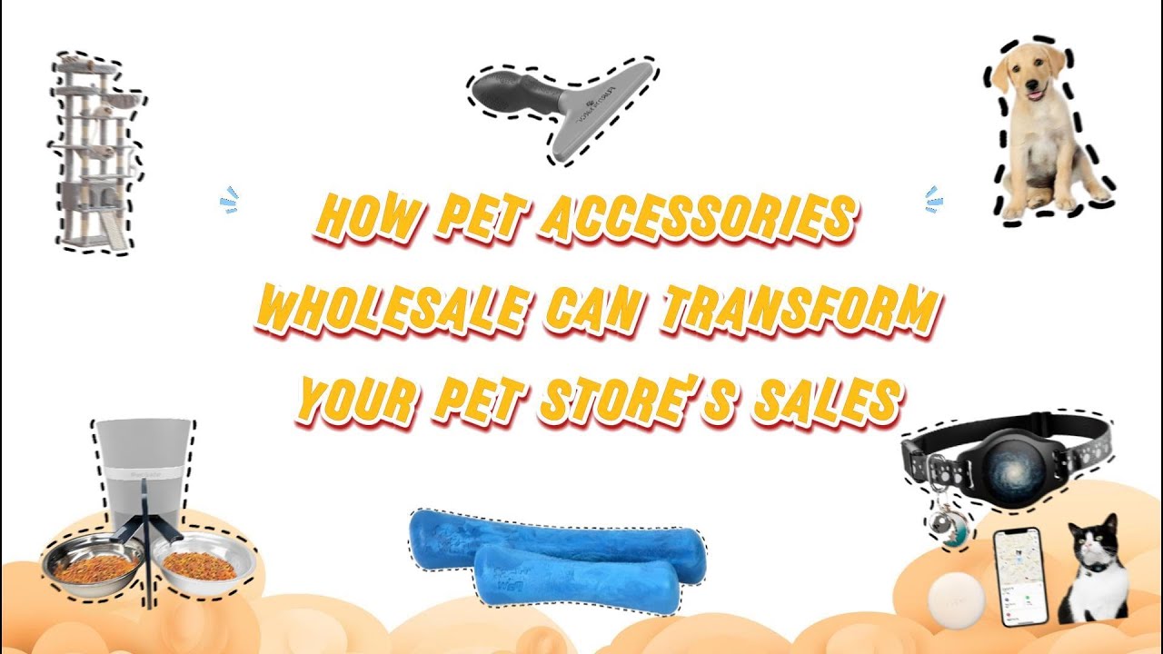 How Pet Accessories Wholesale Can Transform Your Pet Store's Sales