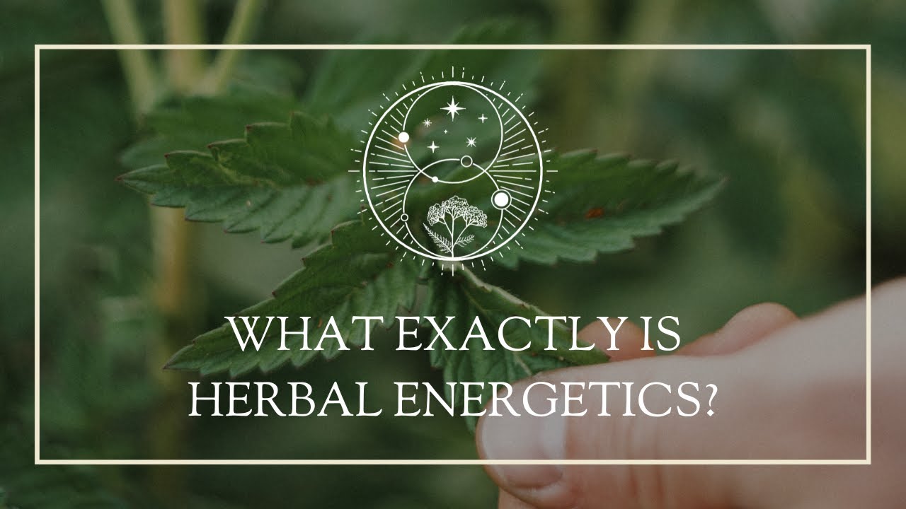 What Exactly is Herbal Energetics? YouTube