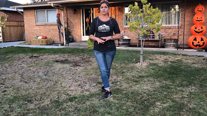 Fall Lawncare: Aeration, Overseeding, and Compost Top Dressing