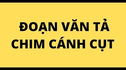 Bài văn tả con chim cánh cụt lớp 4 năm 2024