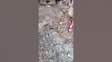 Unclogging Culvert Drain #unclog #culvert #drain #remove #youtubeshorts