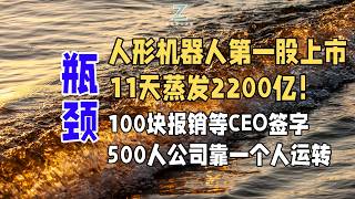 人形机器人第一股上市11天蒸发2200亿！100块报销等CEO签字，500人公司靠一个人运转