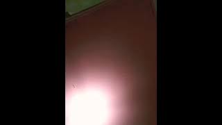 Status wa black metal - cahaya bidadari ( cover )