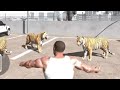 Tiger cheat code in Indian bike driving 3d || all best cheat codes in Indian bike driving