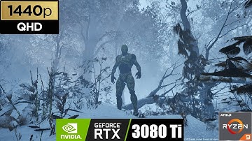 [QHD] UNREAL ENGINE 5 | BROADLEAF FOREST BIOME | NANITE + LUMEN | RTX 3080Ti | Ryzen 9 5900X