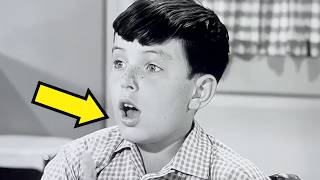 Leave It to Beaver (1957): 20 Shocking Secrets Hollywood Tried to Hide!