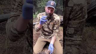 Make a Game Warden Happy - Bear Tip! #pursuitwithcliff