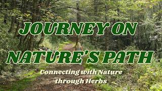 There are some changes happening in the Wild Path!