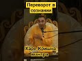 Е.С. Даяван Свами. Джапа медитация. Маха мантра. Харе Кришна мантра. Святое Имя. Мантра Йога