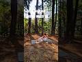 Yoga workout || Gentle warm up #spinalmobility #hipstretch #hamstringflexibility #outdoorworkouts
