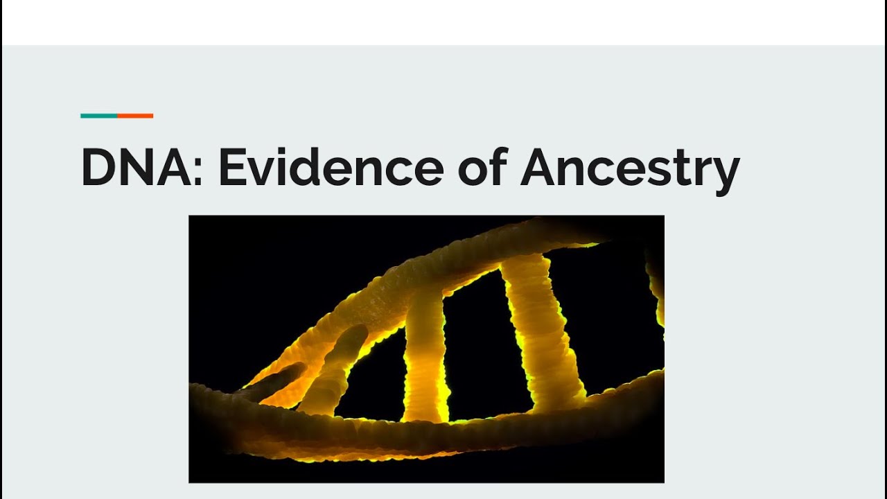 DNA Evidence of Ancestry YouTube