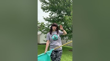 Tossing Planes for Flags - Spintronix Shorts