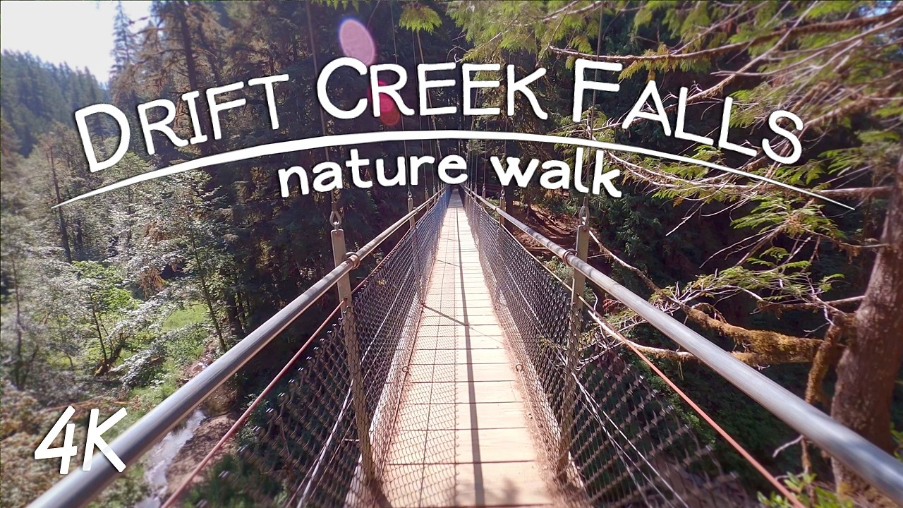 Drift Creek Falls Trail & Suspension Bridge | 4K Virtual Hike | Oregon Forest