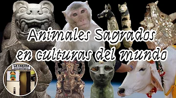 ¿Cuál es el animal más sagrado?