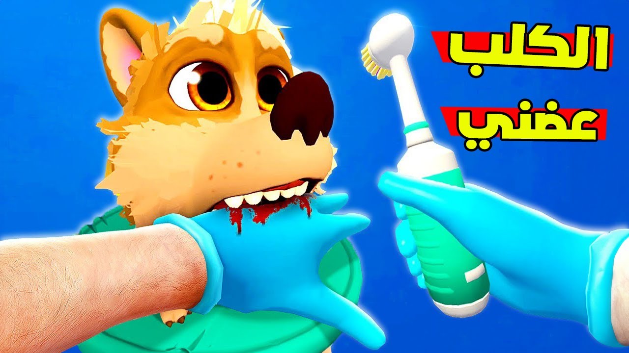 صرت دكتور حيوانات ! والكلب عضني! 😂🐶|  Pets & Stuff VR