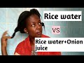 Rice water vs Rice water+onion juice.