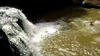 MOV01260.AVI